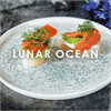 Lunar Ocean